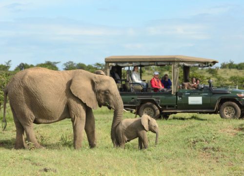 Best Destinations in East Africa